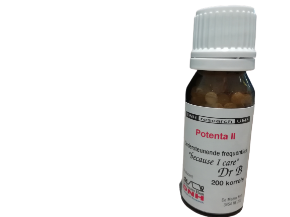 Potenta II